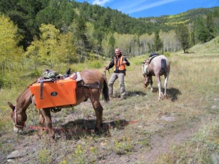 Colorado elk hunting outfitters